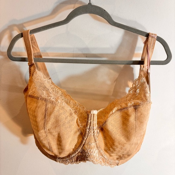 PANACHE Sz 36J Envy Lace Trim Bra in Chai NEW Underwire Adjustable Straps Back - Picture 2 of 10